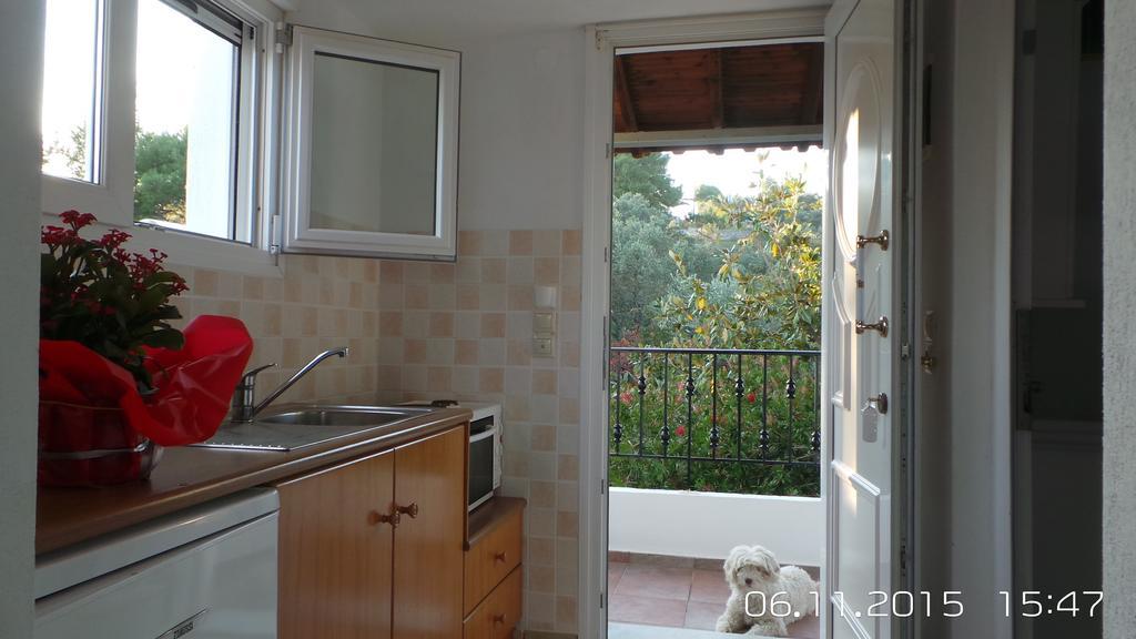 Skiathos Studios Panorama Pokoj fotografie