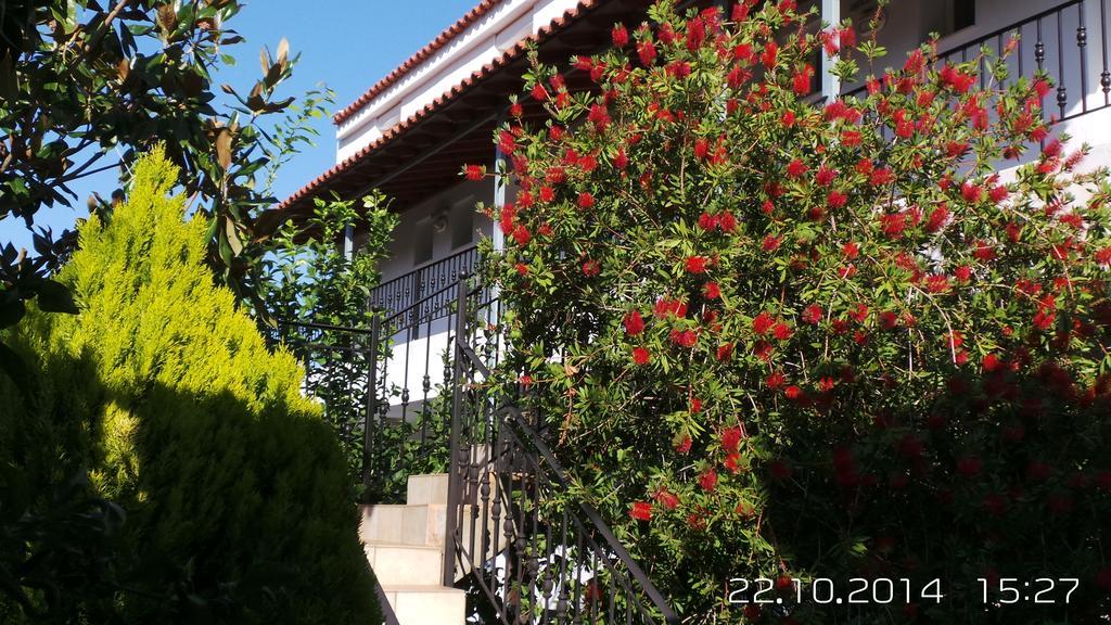 Skiathos Studios Panorama Exteriér fotografie